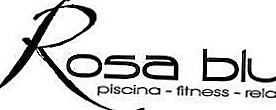 Logo di ROSA BLU